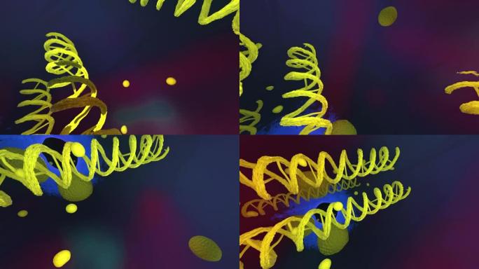 DNA脱氧核糖核酸结构的3d 360。医学全景背景。