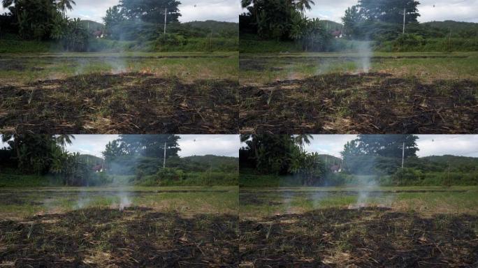 大火在一个小村庄内燃烧着干草和芦苇。火灾和自然灾害。农夫烧草给田地施肥