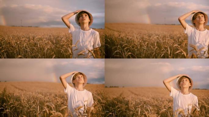 戴着帽子的有趣男孩金色的麦田看着暴风雨前日落的美丽天空，电影拍摄