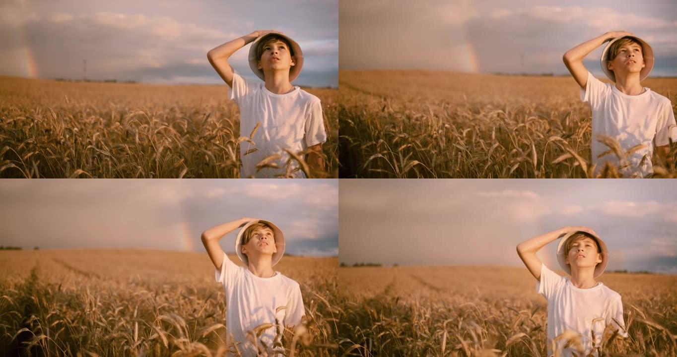 戴着帽子的有趣男孩金色的麦田看着暴风雨前日落的美丽天空，电影拍摄