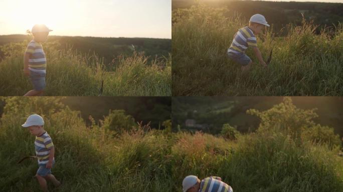 正宗可爱的学龄前男婴在日落前在高草丛中发现了大羽毛。在田野草地上散步的孩子。快乐的孩子自由。童年，自