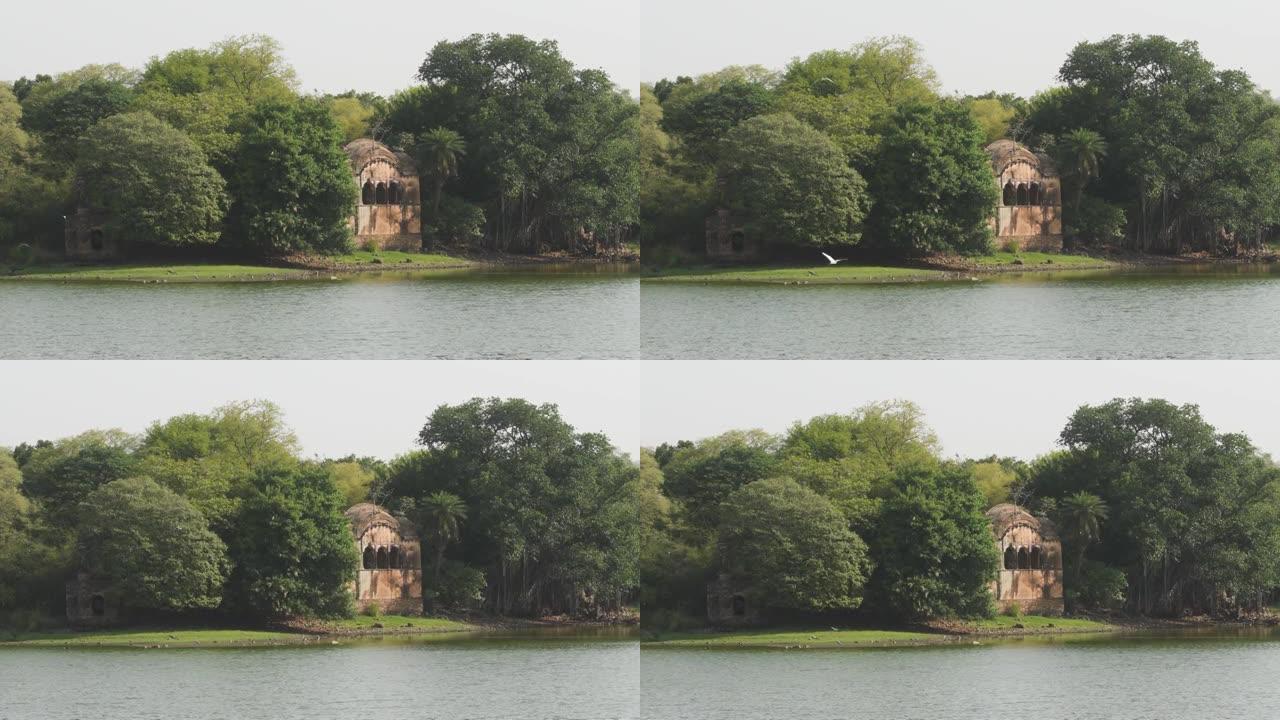 在ranthambore的rajbagh湖水中拍摄狩猎宫殿。ranthambore国家公园保护区Sa