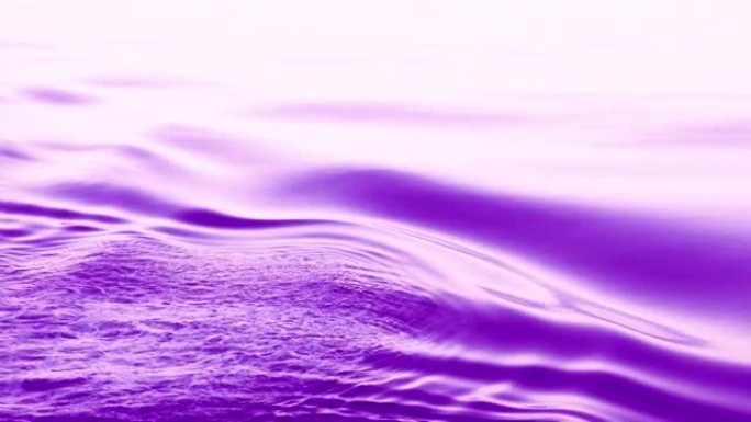 紫色的波浪背景。海平面平稳地移动，形成涟漪。
