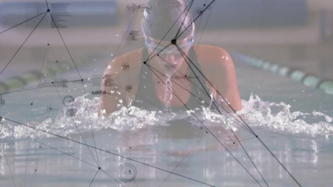 女性游泳运动员游泳的连接网络动画