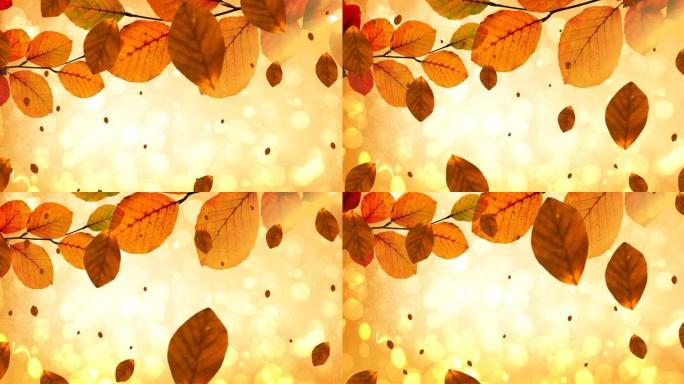 秋天景色落叶的动画