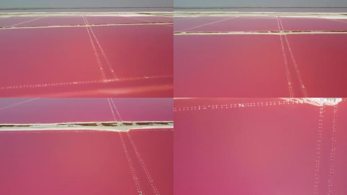 飞越盐田的粉红色泻湖。在阳光明媚的夏日，风景如画的无人机可以看到五颜六色的盐湖。杜氏盐藻。夏季晴天的