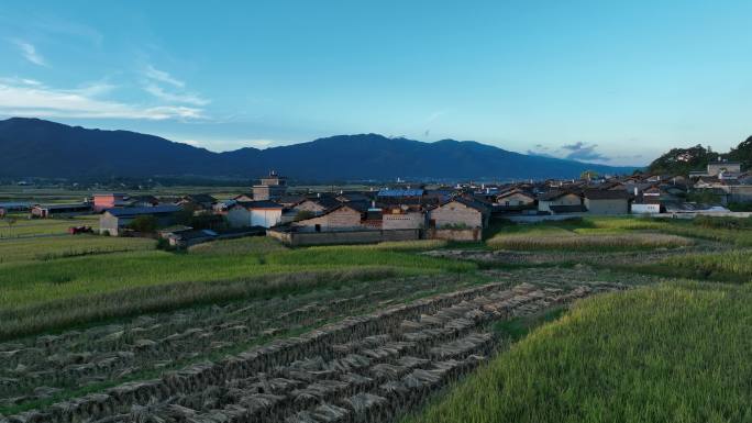 傍晚时分的稻田和村庄