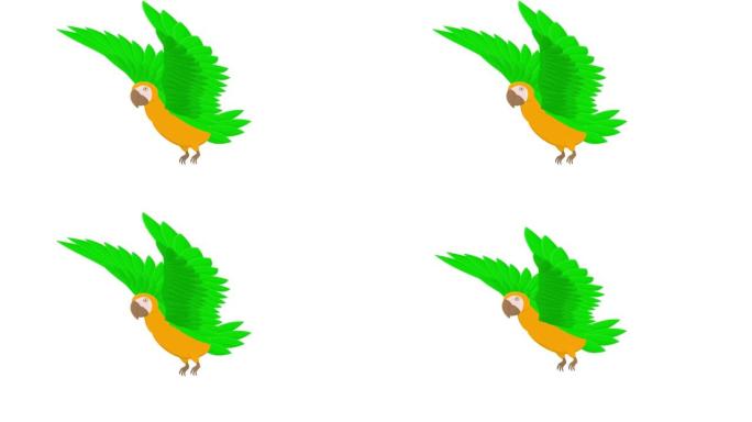 鹦鹉。鹦鹉鸟的动画。卡通