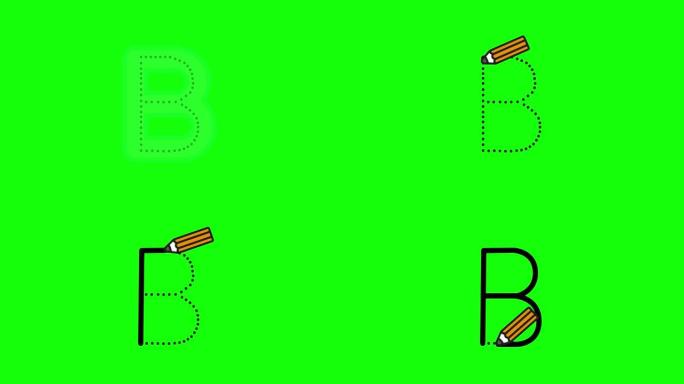 英语字母表写作教程。用绿色屏幕上隔离的铅笔跟踪字母B。儿童字母B顺序书写的动画字母样本