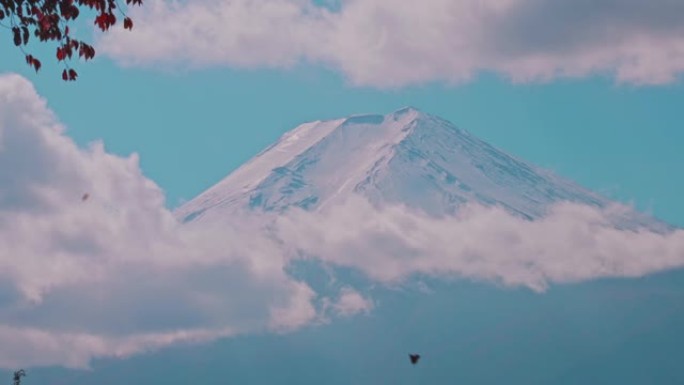 日本落叶的富士山。美丽的风景