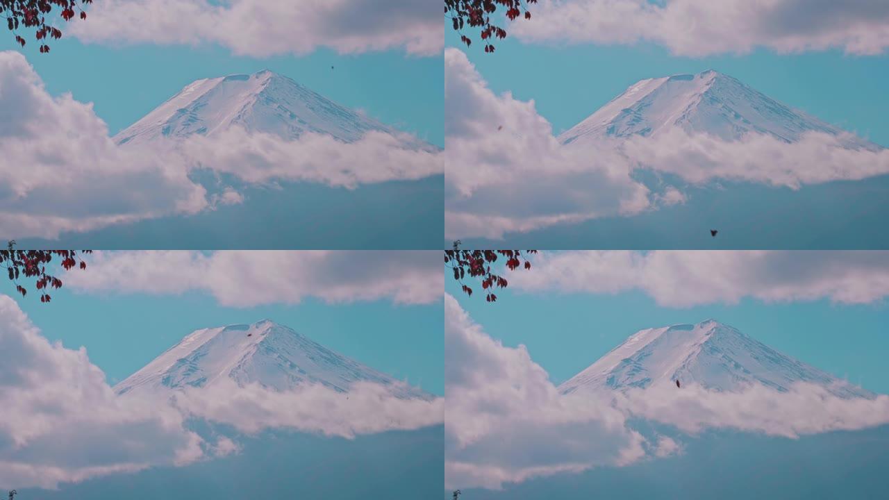 日本落叶的富士山。美丽的风景