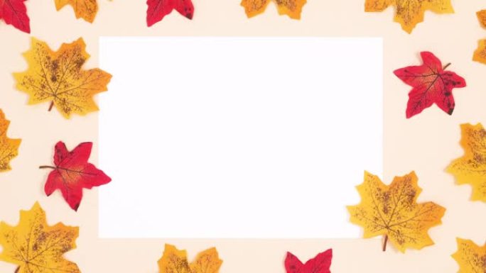 秋季停止运动动画在文本白皮书周围移动树叶。停止运动