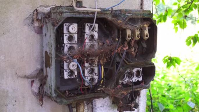 旧肮脏的废弃电气保险丝盒覆盖灰尘和蜘蛛网