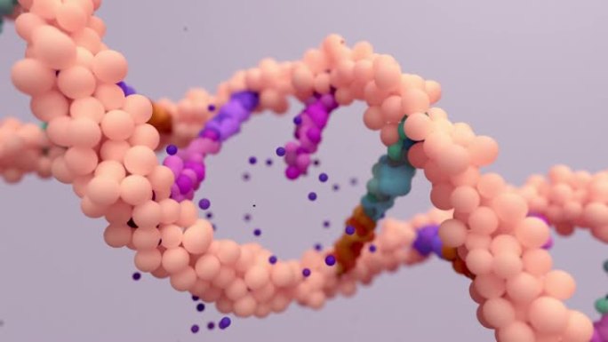 DNA突变，突变是DNA序列的变化，突变可能是由细胞分裂过程中发生的DNA复制错误引起的。