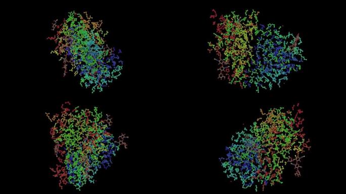 小鼠T细胞抗原受体2C克隆的1tcr原子结构。