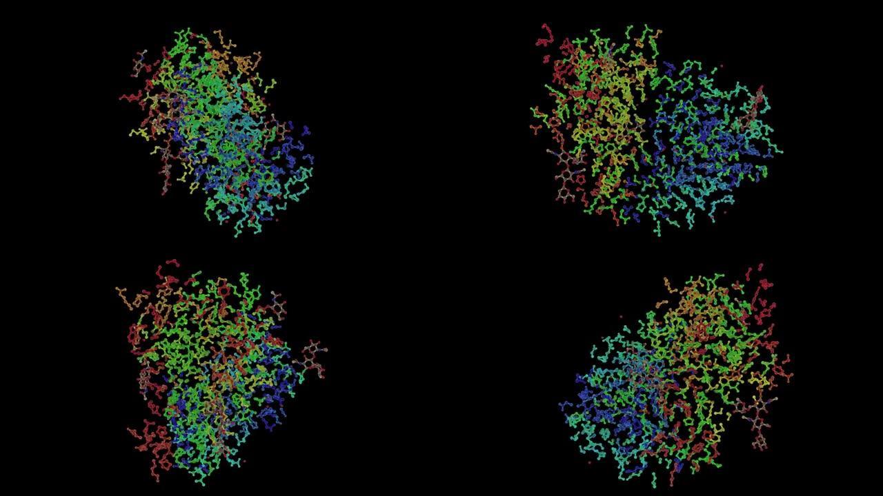 小鼠T细胞抗原受体2C克隆的1tcr原子结构。