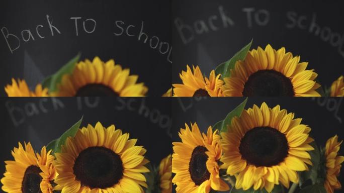 黑板写字回学校背景和一束向日葵