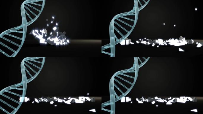 Dna结构在美元货币符号上旋转并在灰色背景下破裂