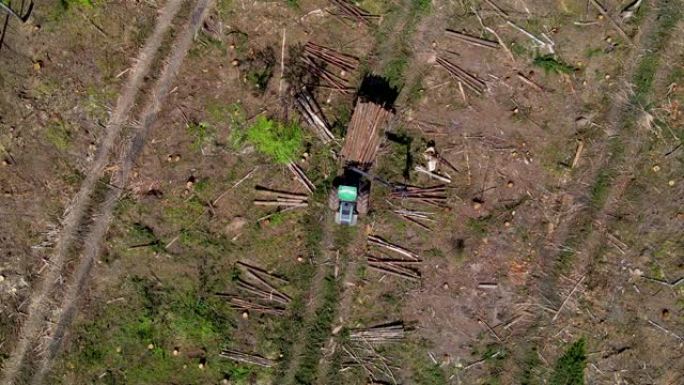 砍伐树木后砍伐森林的货运代理。从砍伐现场运输的林业运输圆木和原始木材的Arial视图
