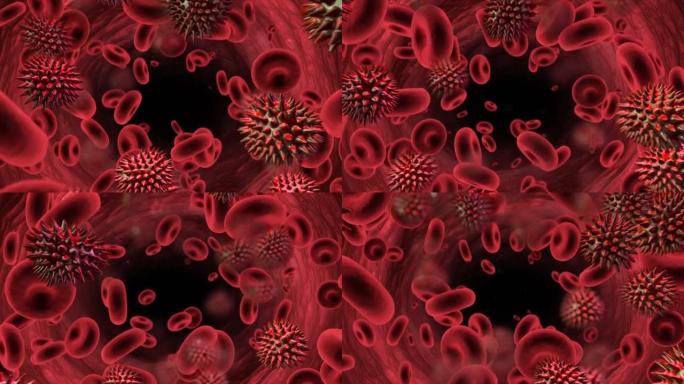 红色背景下漂浮的多个新型冠状病毒肺炎细胞和血管的数字动画