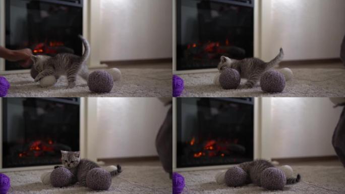 婴儿玩猫。在家里舒适的燃烧壁炉附近的地毯上的雄猫。条纹小猫玩线球。凯蒂看着相机跑了。快乐可爱的宠物，