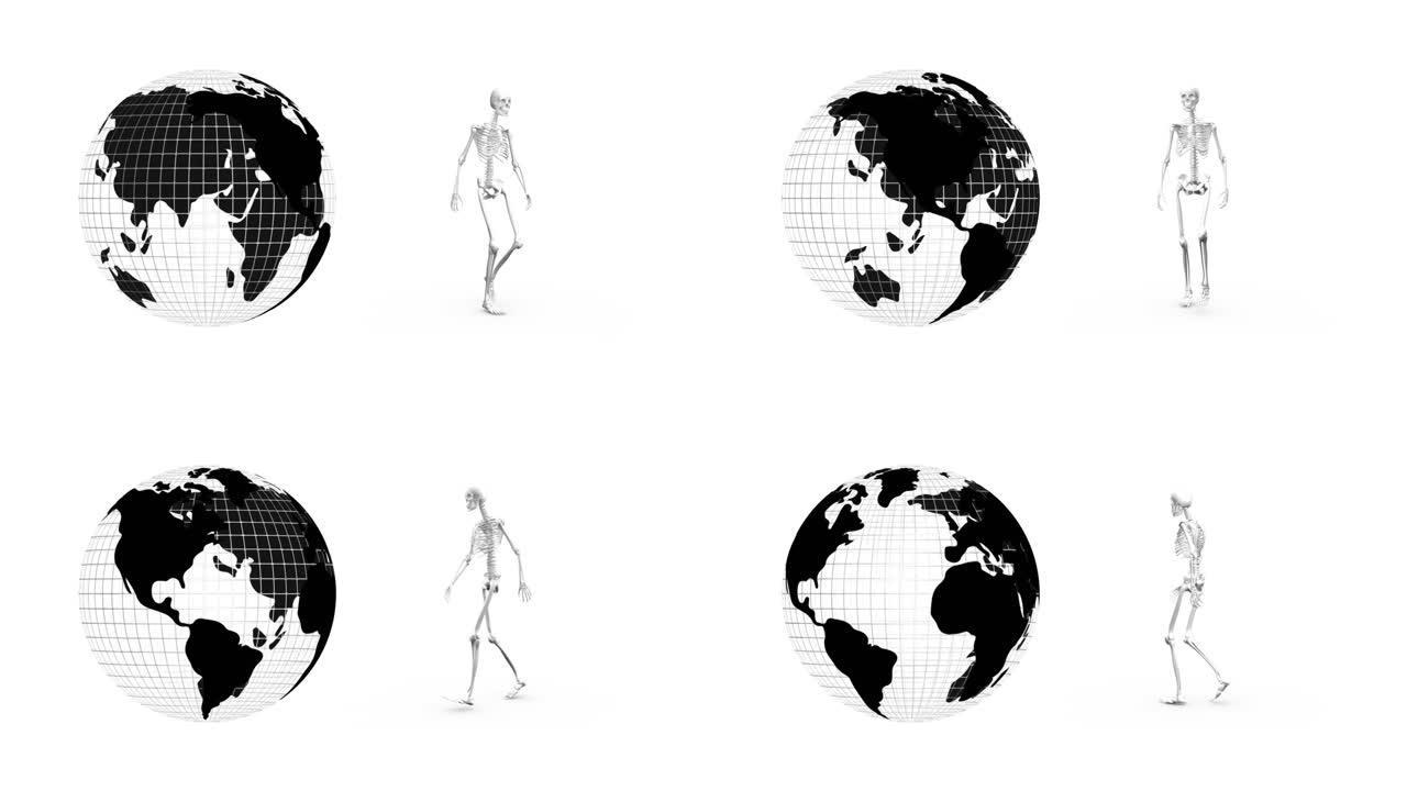 地球图标旋转和人类骨骼在白色背景下行走的数字动画