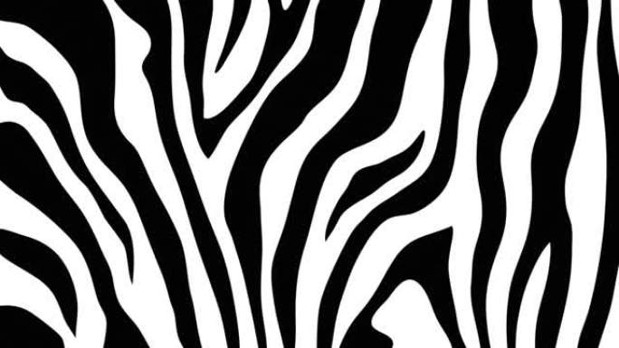 斑马纹运动背景黑白素材梦幻迷幻视觉创意