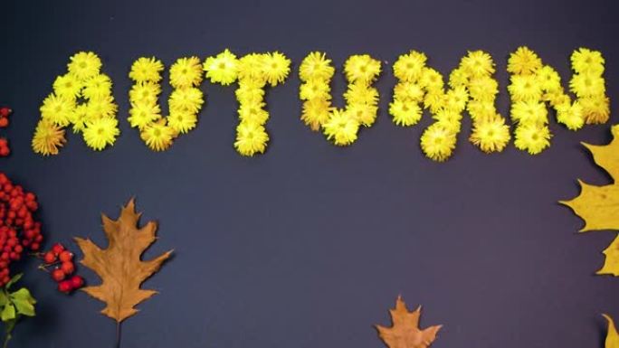 词秋由黄头的菊花制成。秋枫叶和字秋在风中飞翔。