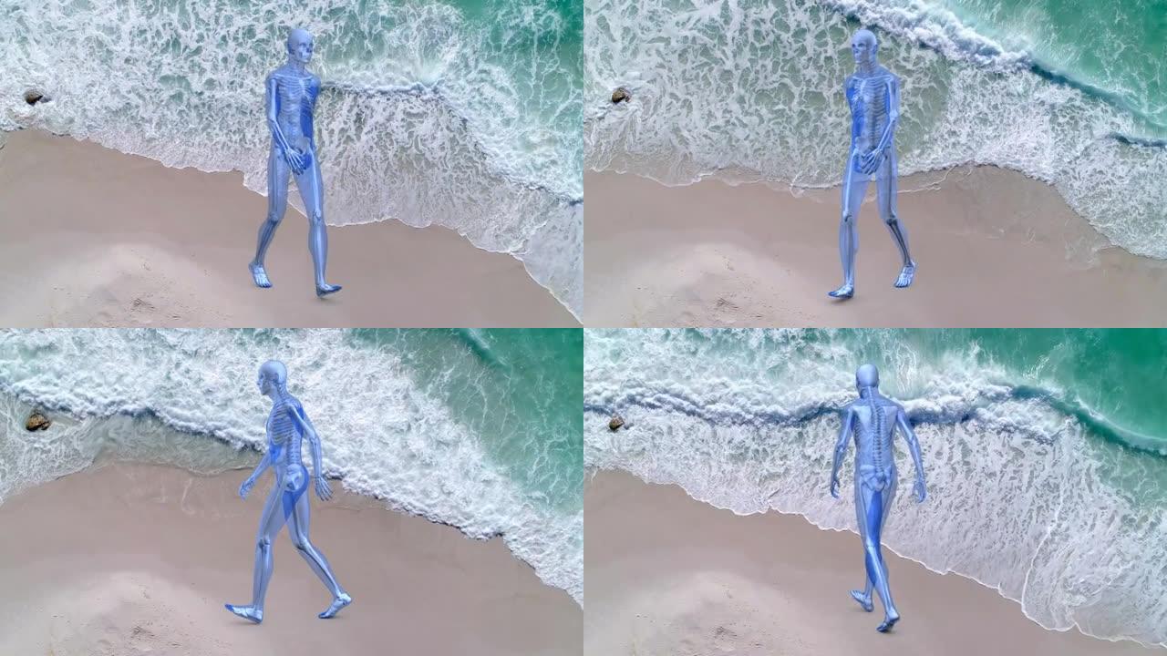 人类模型的数字构成，在海滩的鸟瞰图下行走