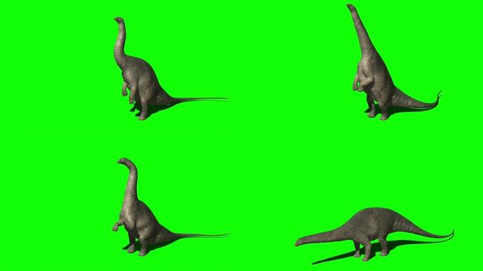在绿色屏幕上进食的雷龙恐龙