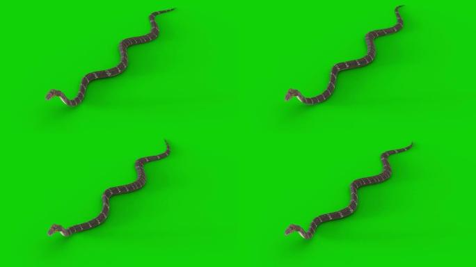 蛇在绿色屏幕上爬行