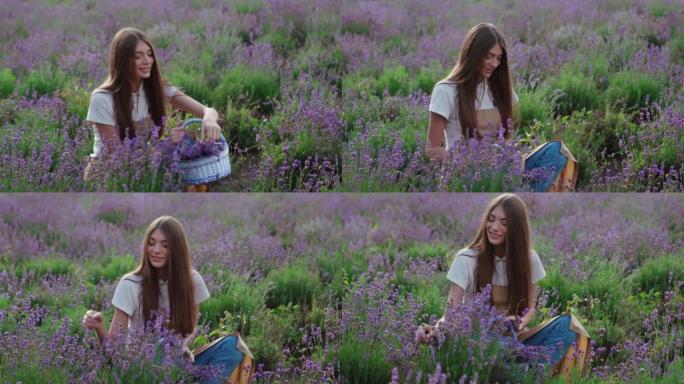 微笑的农家女孩在薰衣草田里采花。