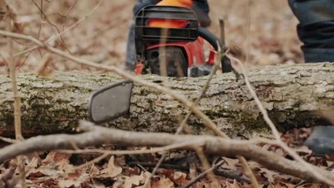 男子用电锯切割砍伐的树干