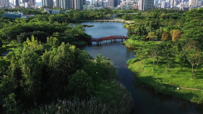 深圳福田红树林生态公园