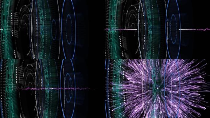 在黑色背景上爆炸的紫色光迹上的多个圆形扫描仪的数字动画