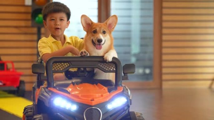 亚洲男孩和他的狗柯基 (Corgi) 在室内游戏室玩玩具车