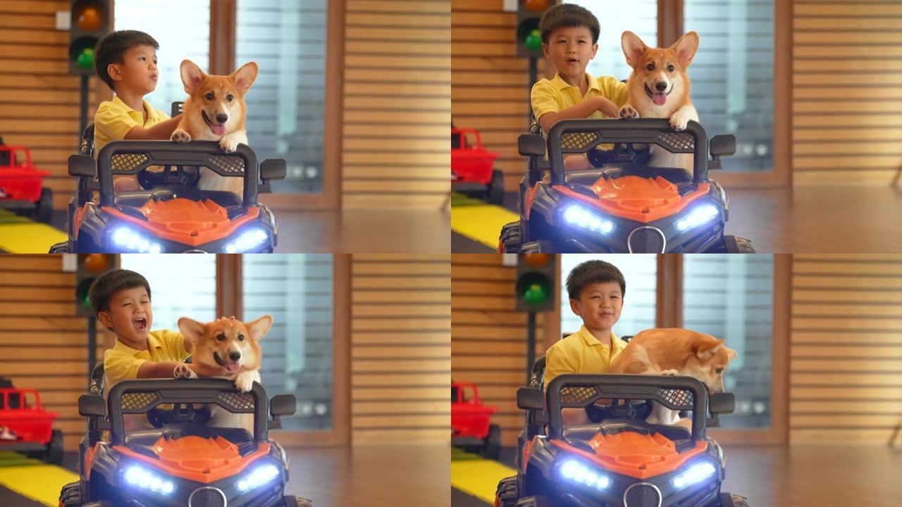 亚洲男孩和他的狗柯基 (Corgi) 在室内游戏室玩玩具车