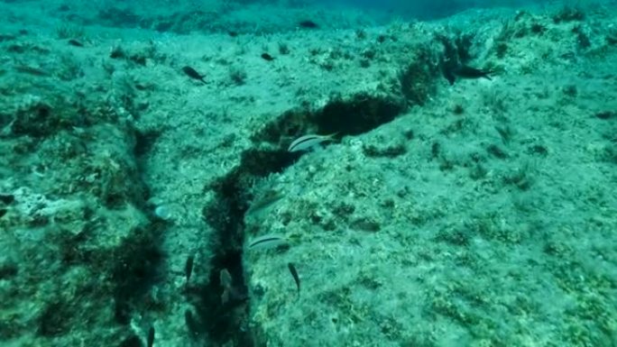 构造板块上海床上的裂缝。海底板块的Tiktanic位移。4K-60 fps。塞浦路斯地中海典型的天然