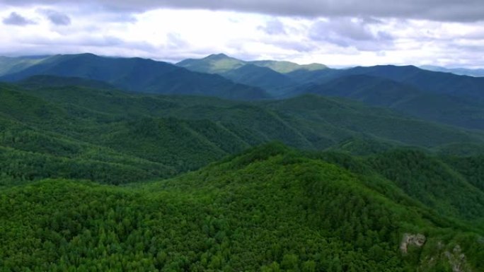 巨大的松树森林山脉大山森林航拍