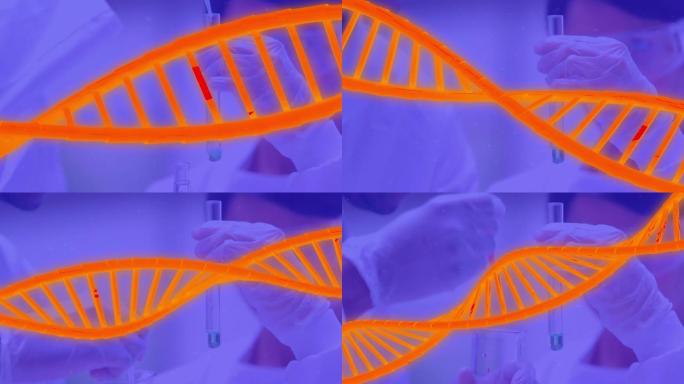 实验室中科学家dna链旋转的动画