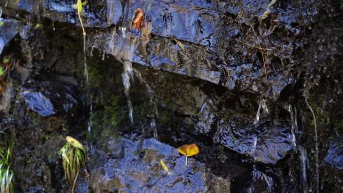 泉水水流岩石黄叶