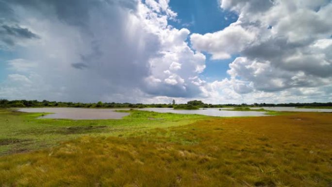 有草地和云的湖广袤大地农业湿地畜牧业