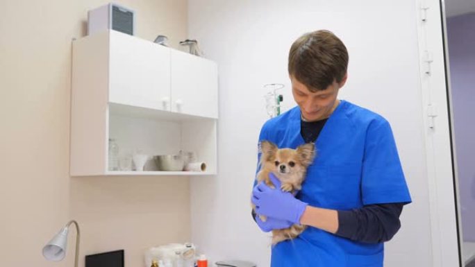 在一家兽医诊所里，一位年轻的高加索男性兽医抱着一只可爱的小狗。宠物护理、医药、健康、医生专业治疗医疗
