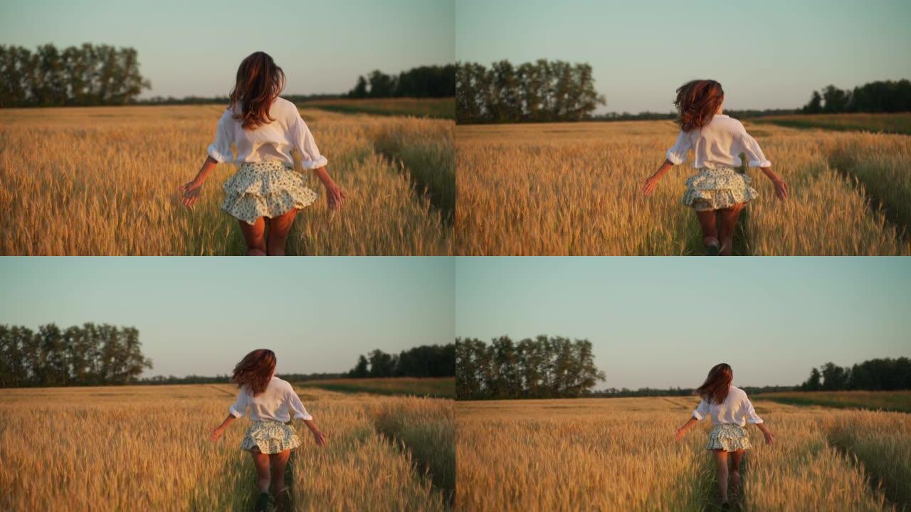 年轻的姑娘拿着麦穗跑过田野。快乐的女人用慢动作跑过田野，用手抚摸着麦穗