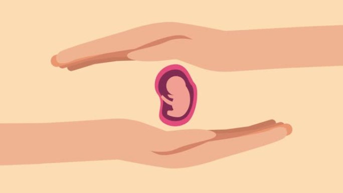 女人的手保护胚胎免于流产