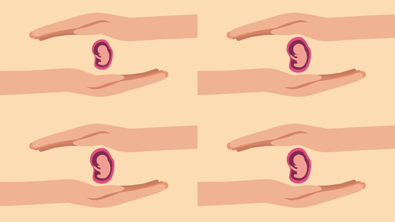 女人的手保护胚胎免于流产