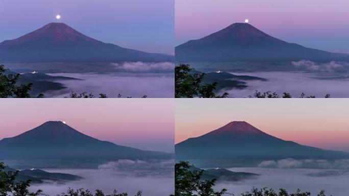 小野村二十曲传的富士珍珠和红富士的延时视频