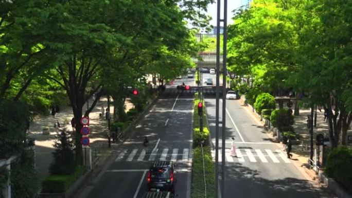 看到美丽的新绿色城市街道