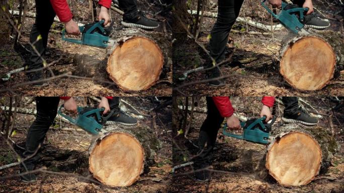 木头切割电锯。伐木工人用锯子砍柴