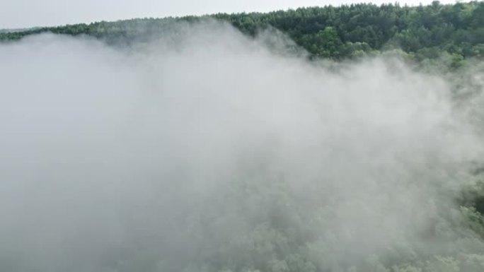 绿色山林的空中无人机视图。飞过浓雾或云层。奇妙的初夏早晨，平静的背景，放松，地球之美，自然概念